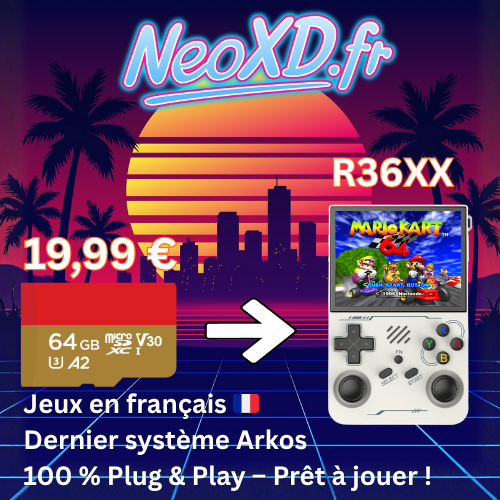 Carte Mémoire R36XX Avec Les Jeux en Français 🇫🇷