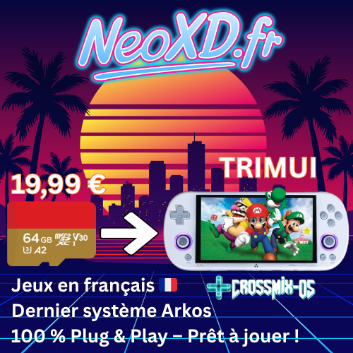Carte Mémoire TRIMUI Avec Les Jeux en Français 🇫🇷