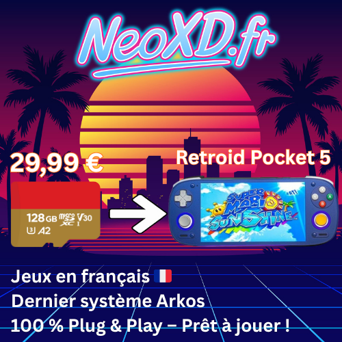 Carte Mémoire Retroid Pocket 5 Avec Les Jeux en Français 🇫🇷
