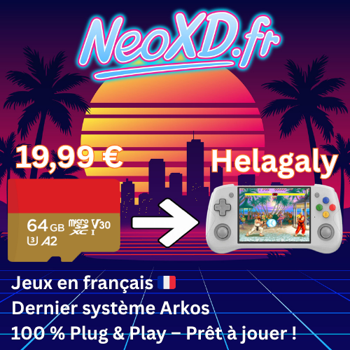 Carte Mémoire Helagaly Avec Les Jeux en Français 🇫🇷