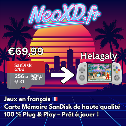 Carte Mémoire Helagaly Avec Les Jeux en Français 🇫🇷