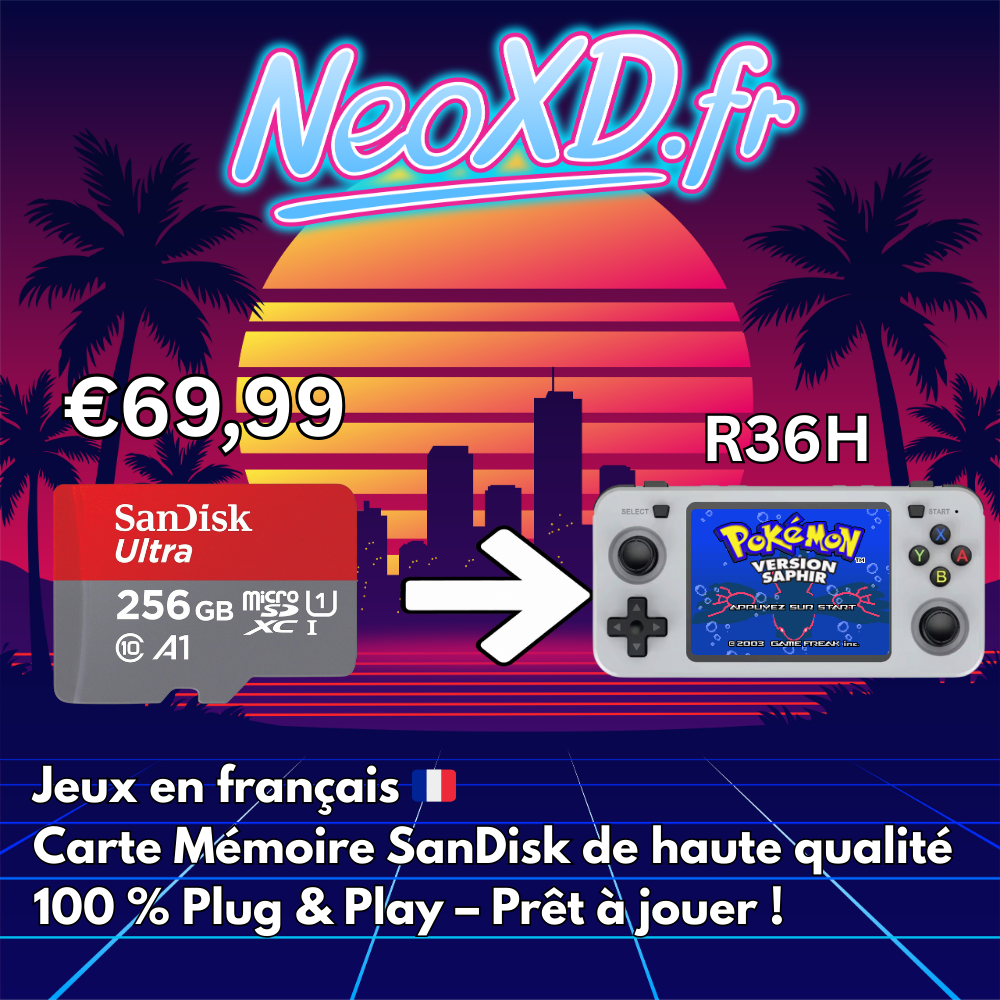 Carte Mémoire R36H Avec Les Jeux en Français 🇫🇷