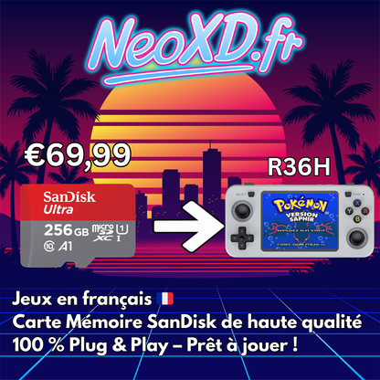 Carte Mémoire R36H Avec Les Jeux en Français 🇫🇷