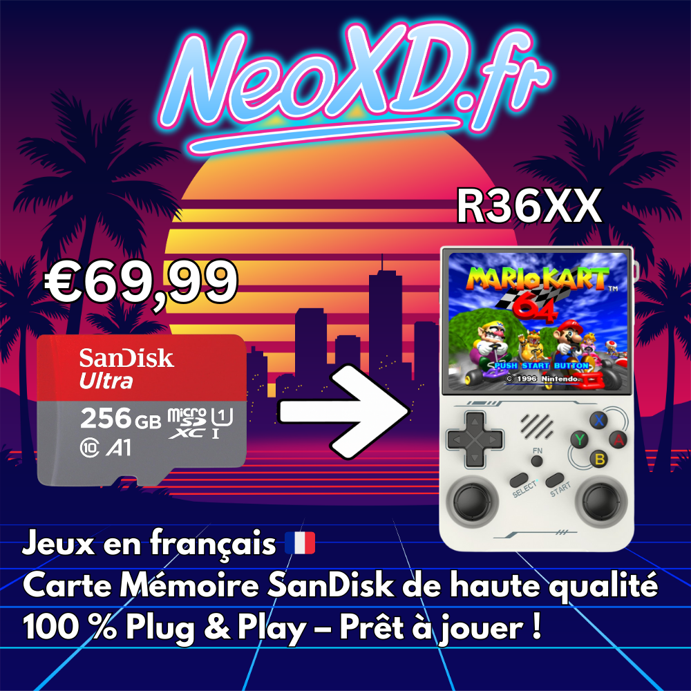 Carte Mémoire R36XX Avec Les Jeux en Français 🇫🇷