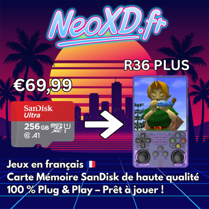 Carte Mémoire R36 PLUS Avec Les Jeux en Français 🇫🇷
