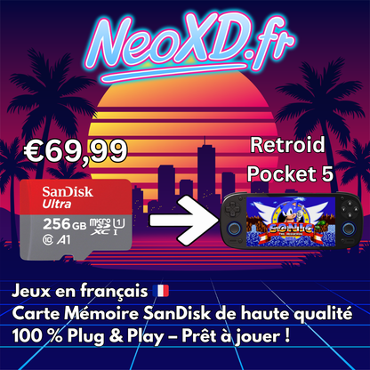 Carte Mémoire Retroid Pocket 5 Avec Les Jeux en Français 🇫🇷