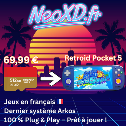 Carte Mémoire Retroid Pocket 5 Avec Les Jeux en Français 🇫🇷