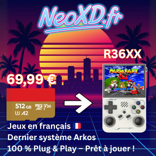 Carte Mémoire R36XX Avec Les Jeux en Français 🇫🇷