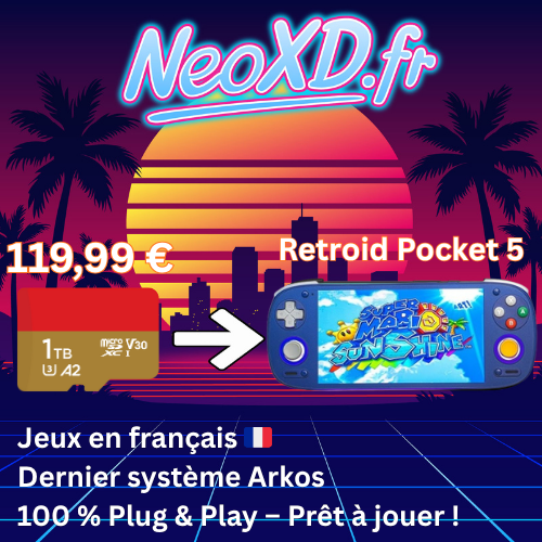 Carte Mémoire Retroid Pocket 5 Avec Les Jeux en Français 🇫🇷