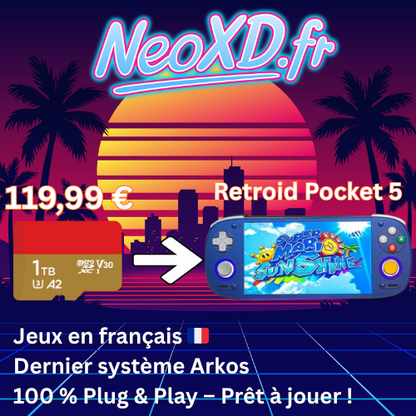Carte Mémoire Retroid Pocket 5 Avec Les Jeux en Français 🇫🇷