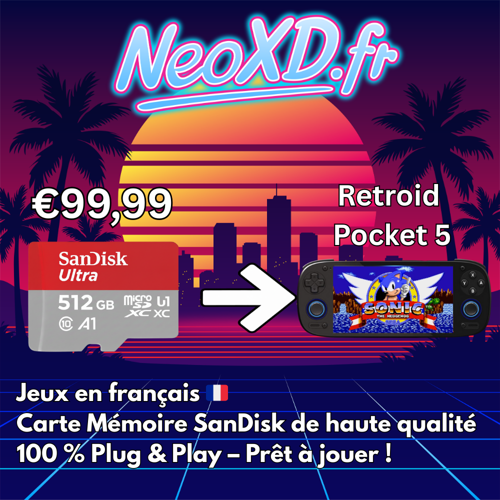 Carte Mémoire Retroid Pocket 5 Avec Les Jeux en Français 🇫🇷