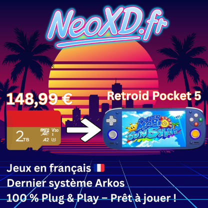 Carte Mémoire Retroid Pocket 5 Avec Les Jeux en Français 🇫🇷