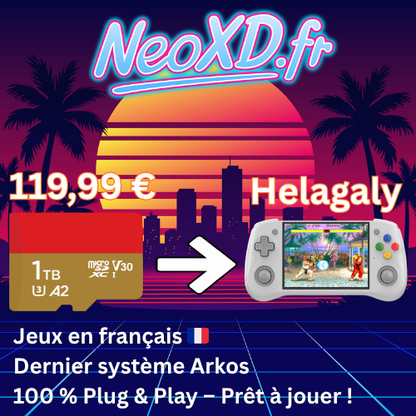 Carte Mémoire Helagaly Avec Les Jeux en Français 🇫🇷