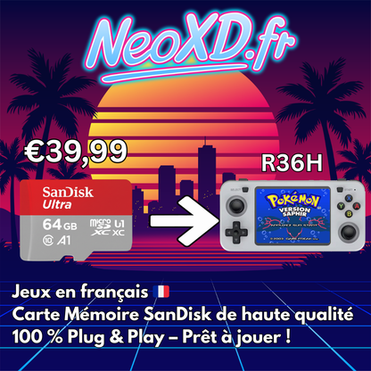 Carte Mémoire R36H Avec Les Jeux en Français 🇫🇷