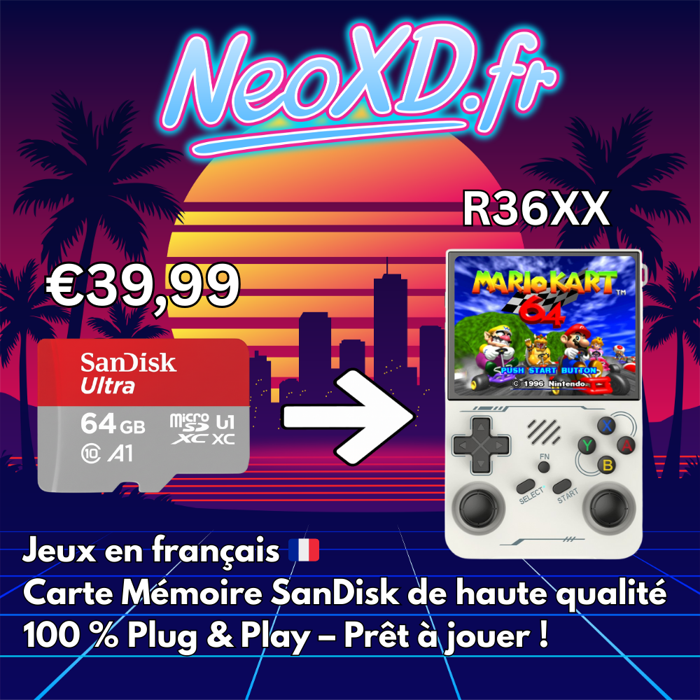 Carte Mémoire R36XX Avec Les Jeux en Français 🇫🇷