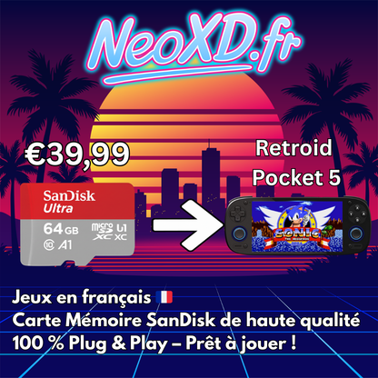 Carte Mémoire Retroid Pocket 5 Avec Les Jeux en Français 🇫🇷