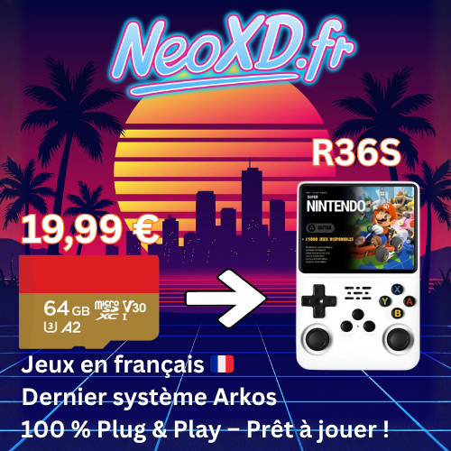 Carte Mémoire R36S Avec Les Jeux en Français 🇫🇷
