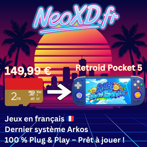 Carte Mémoire Retroid Pocket 5 Avec Les Jeux en Français 🇫🇷