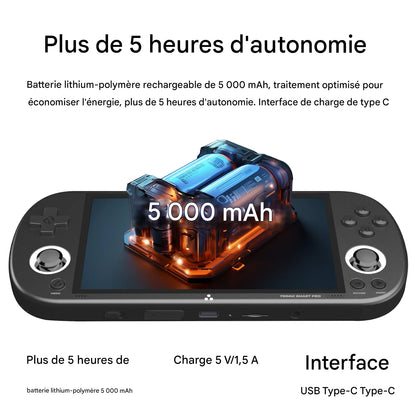 TRIMUI SMART PRO